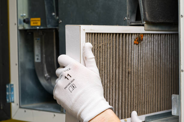 Best Air Duct Cleaning Near Me  in Lake Belvedere Estates, FL